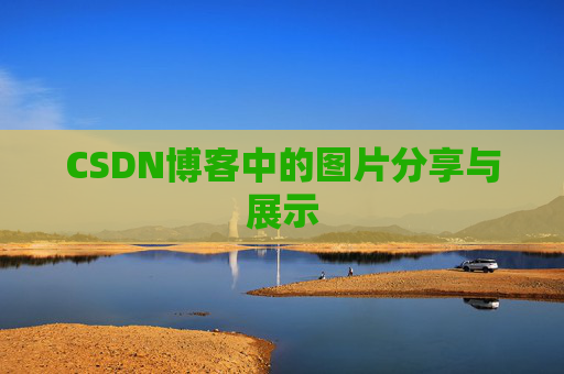 CSDN博客中的图片分享与展示